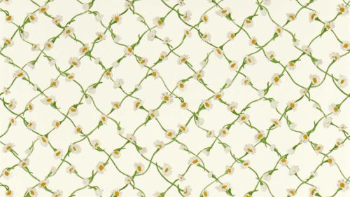 Daisy Trellis 113043